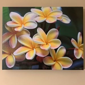 Plumeria Wall Art